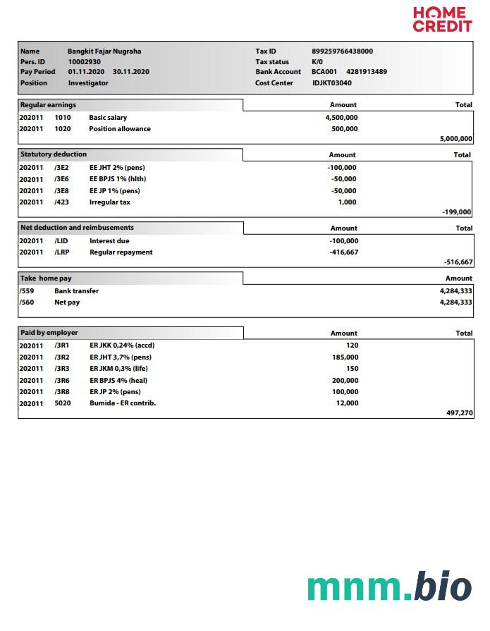 Szablon Paystub kredytu domowego w formatach Word i PDF